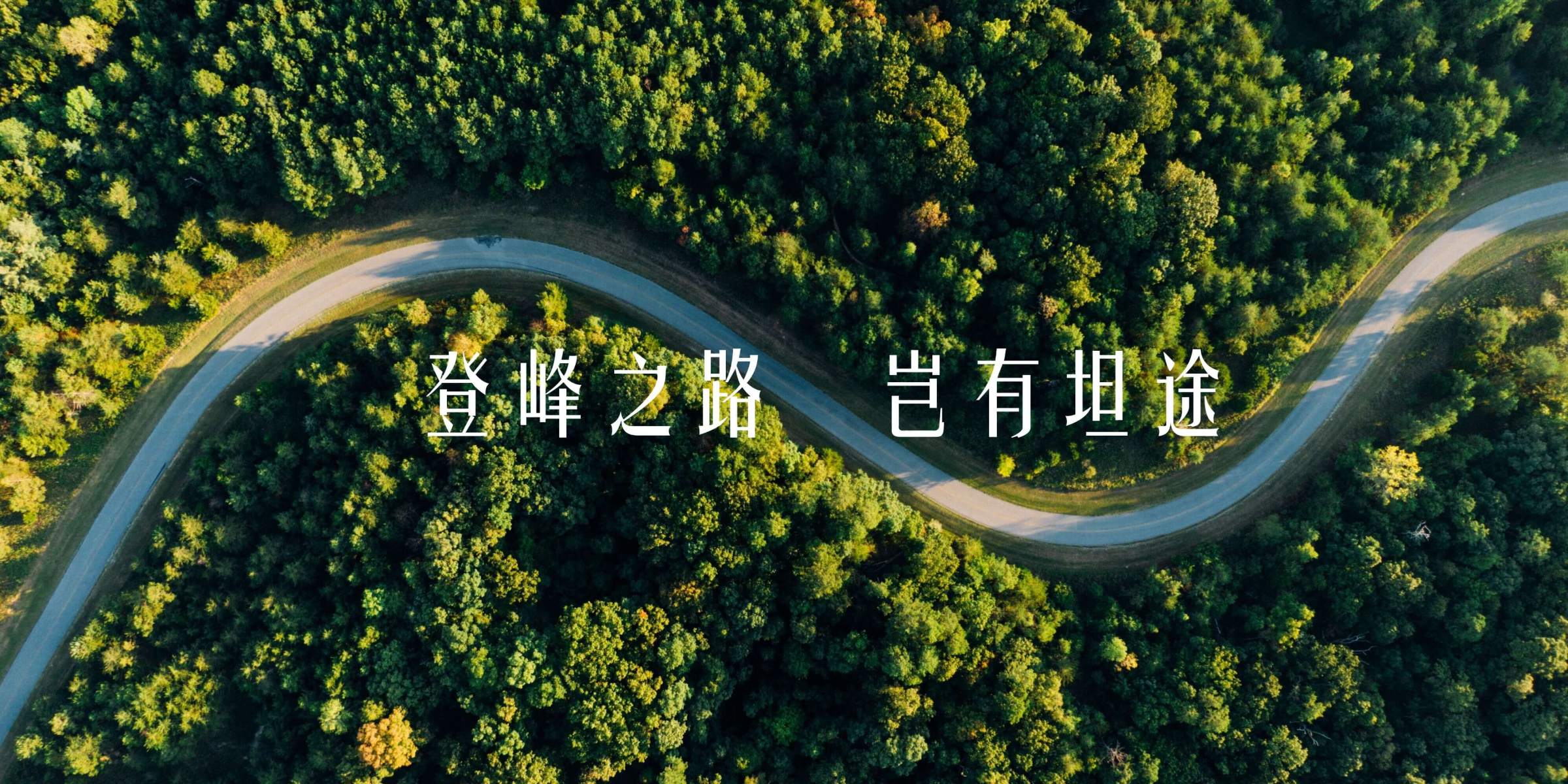 xinzhi bg